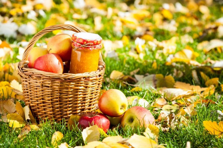 A kerti alma okos és egyszerű hasznosítása
