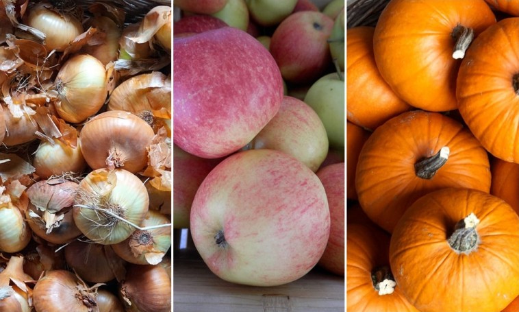 Ősszel érő gyümölcsök és zöldségek ügyes tárolása