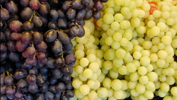 A csemegeszőlő tárolása