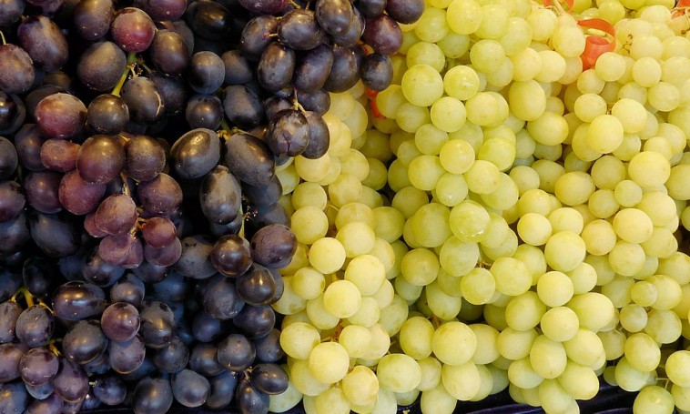 A csemegeszőlő tárolása