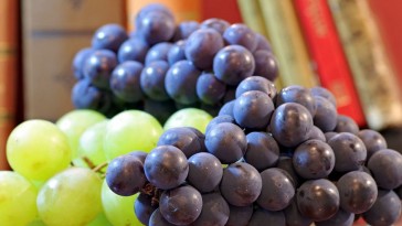 Hogyan tudom a csemegeszőlőfürtöket huzamosan eltartani?