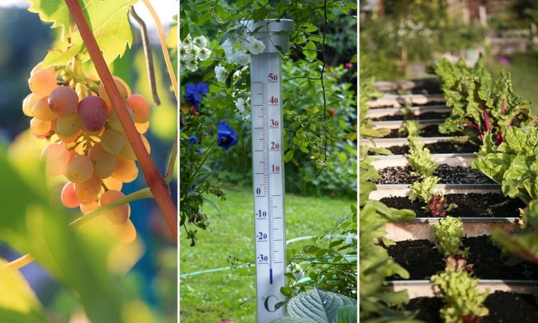 A kertészek naptárát is átírja a klímaváltozás