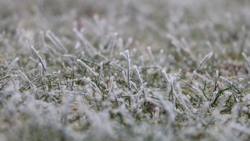 Vigyázzunk a fűre, különösen olvadó hóban!
