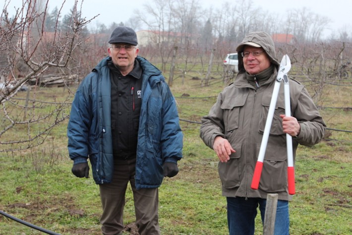 dr gentischer gabor bucsuzunk 02