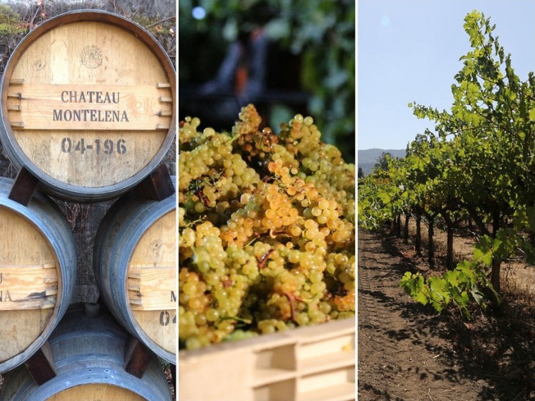 Valóban magyar ember honosította meg a szőlőt Kaliforniában?
