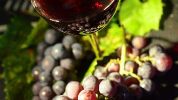 Miért szeretjük a szőlőt?