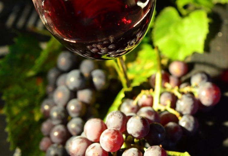 Miért szeretjük a szőlőt?