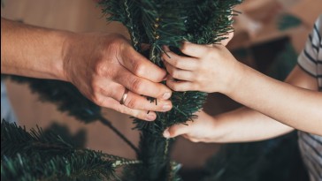 Műfenyő ápolás? Igen! Így marad szép évekig – és mikor jobb az élő fa