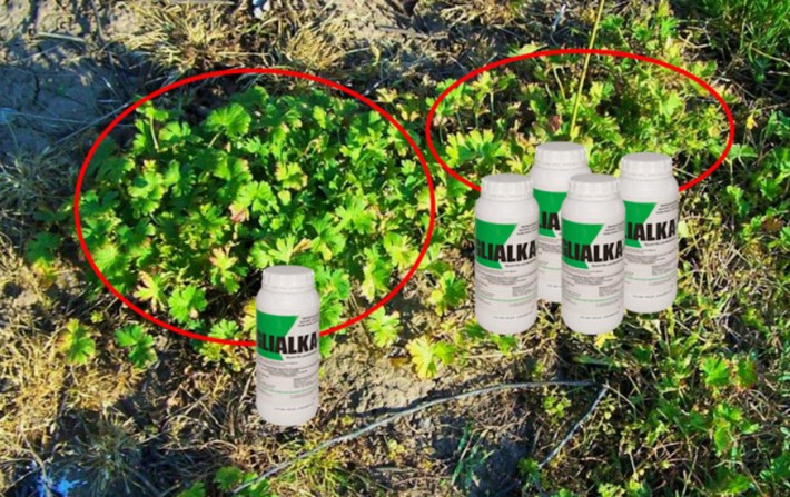 Ellenállnak