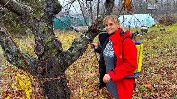 Muszáj lemosó permetezni? Székely Gyöngyvér válaszol! 