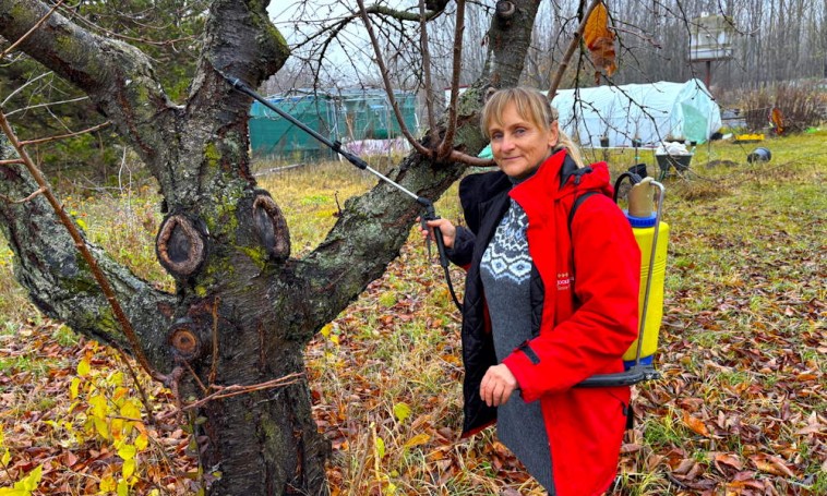 Muszáj lemosó permetezni? Székely Gyöngyvér válaszol! 