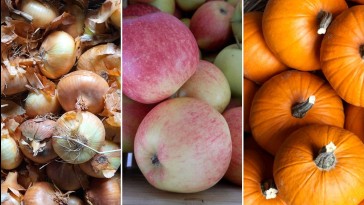 Ősszel érő gyümölcsök és zöldségek ügyes tárolása