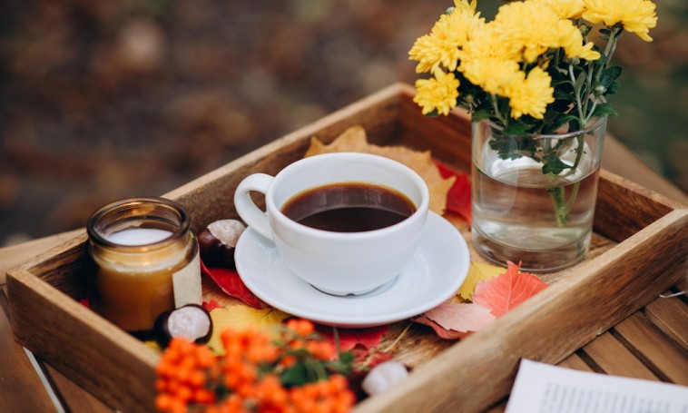 Apró terek, nagyszerű megoldások, csodás nappalik