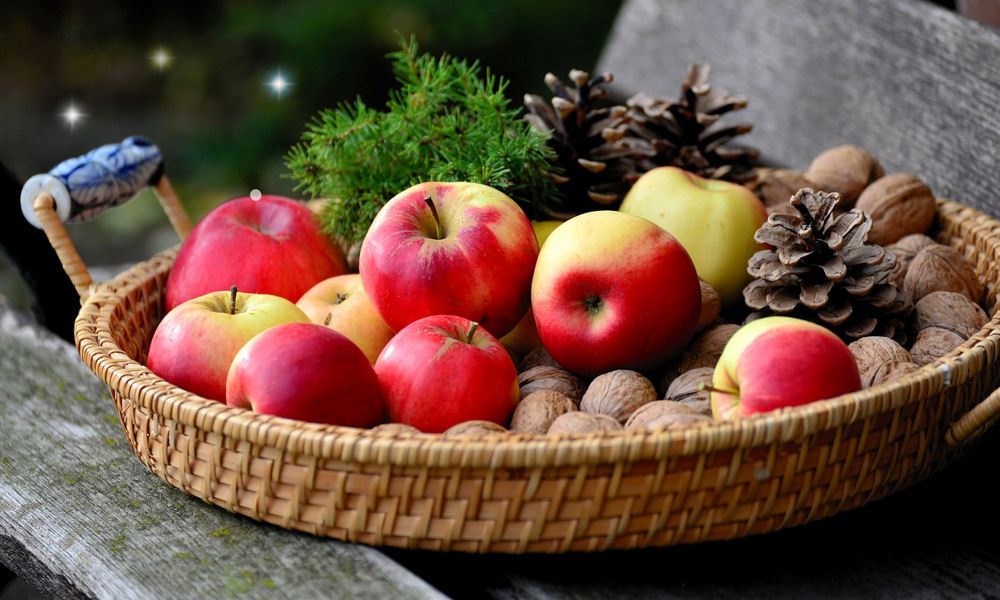 Milyen növényekkel ünnepelhetjük a karácsonyt?