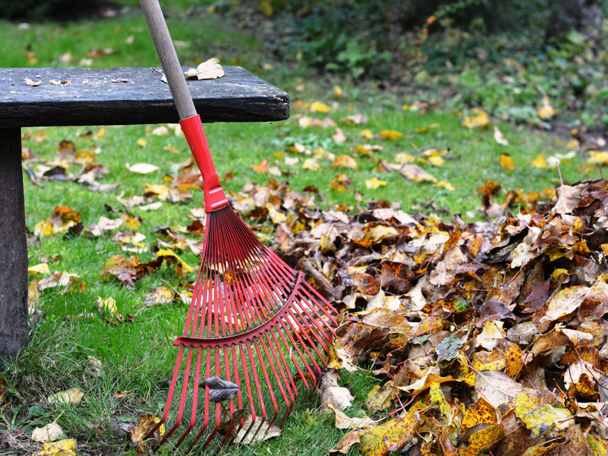 8 módon kamatozik a kerti avar