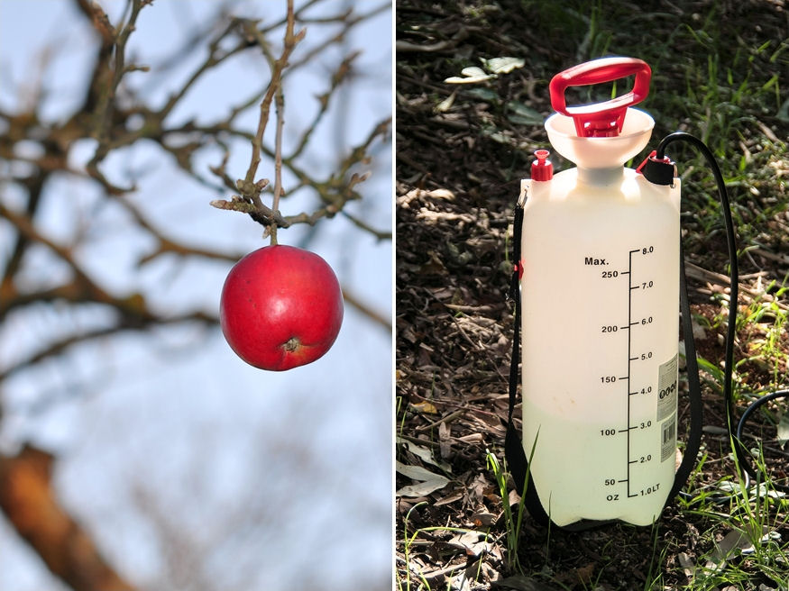 Mikor van szükség a lemosó permetezésre?