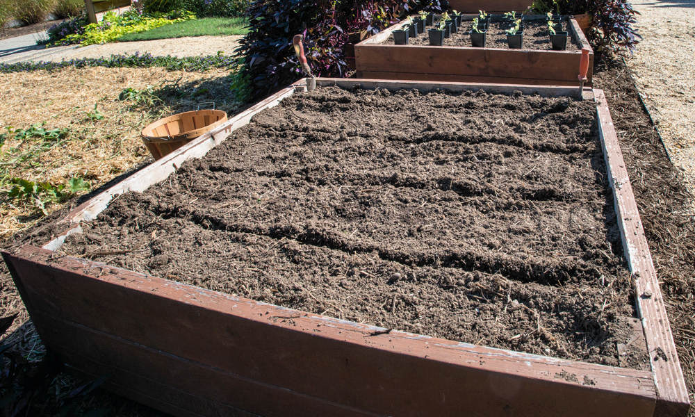 Magaságyás ápolása egyenes derékkal