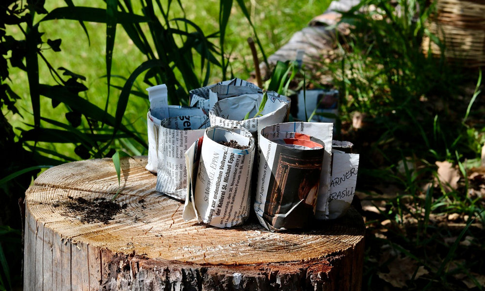 Ajánlatos-e a magaságyás talajába papírt is tenni?