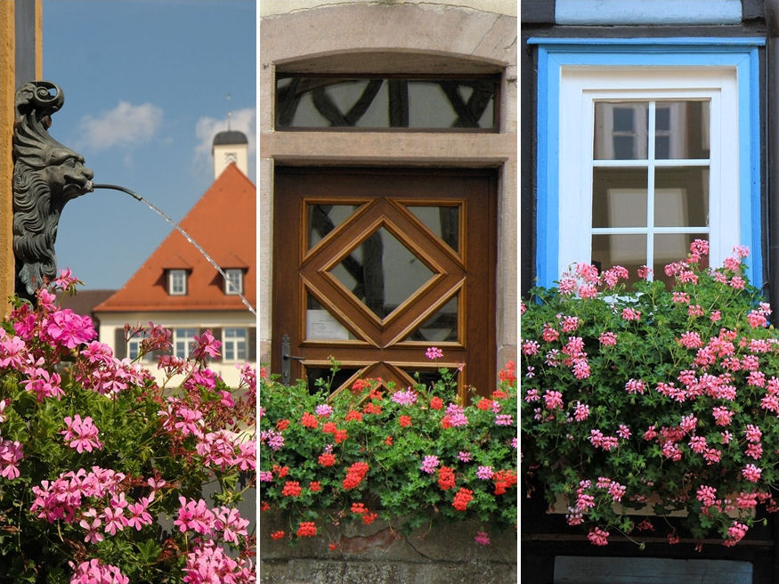 muskatli ablaklada iranya 05