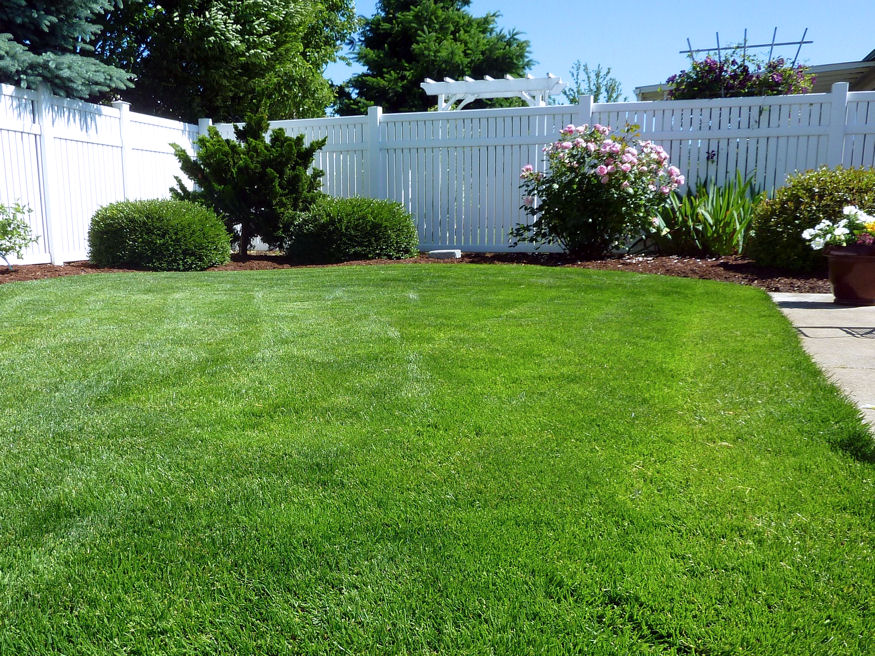 Mikor telepítsem a pázsitot?