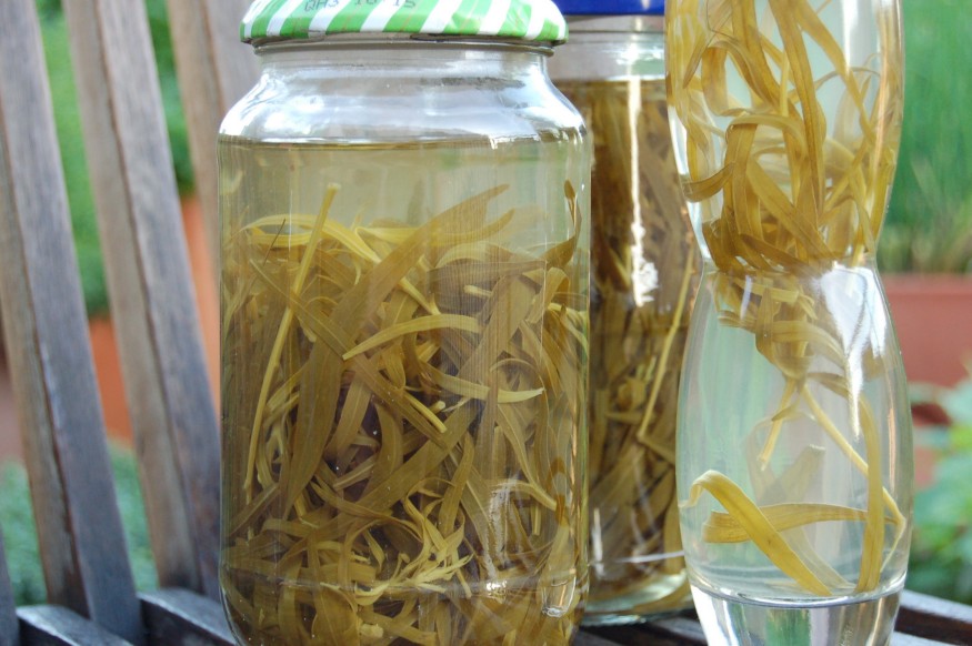 Savanyúság, somlekvár, tárkonyecet és még sorolhatnám