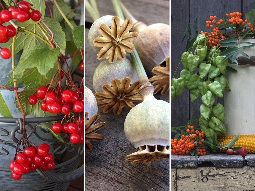 Hogyan csempésszem be a természetet a téli lakásba?