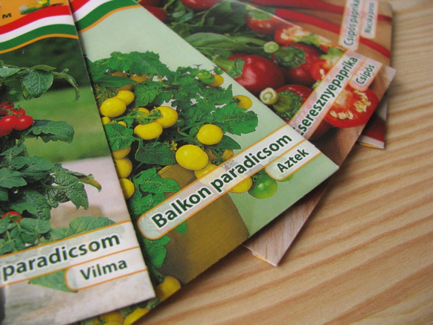 Új esztendőt kezdünk...